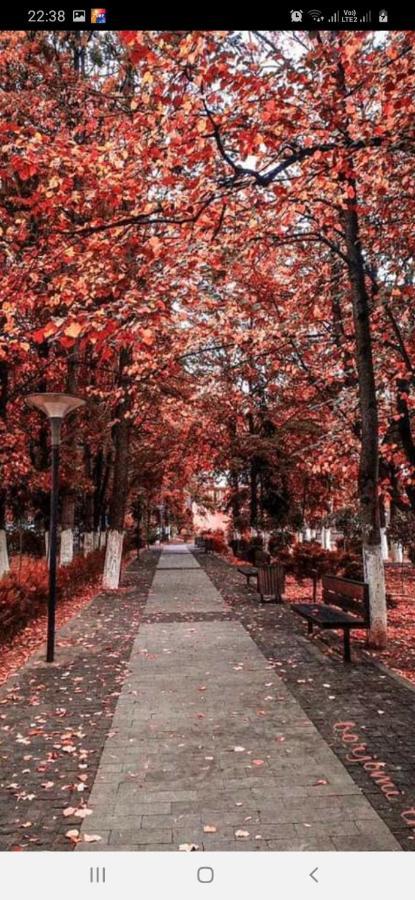 Gamsakhurdia Street Боржоми Экстерьер фото
