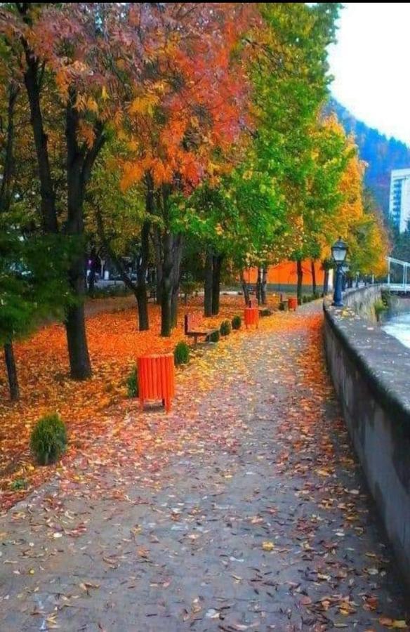 Gamsakhurdia Street Боржоми Экстерьер фото