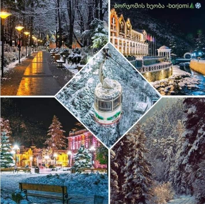 Gamsakhurdia Street Боржоми Экстерьер фото